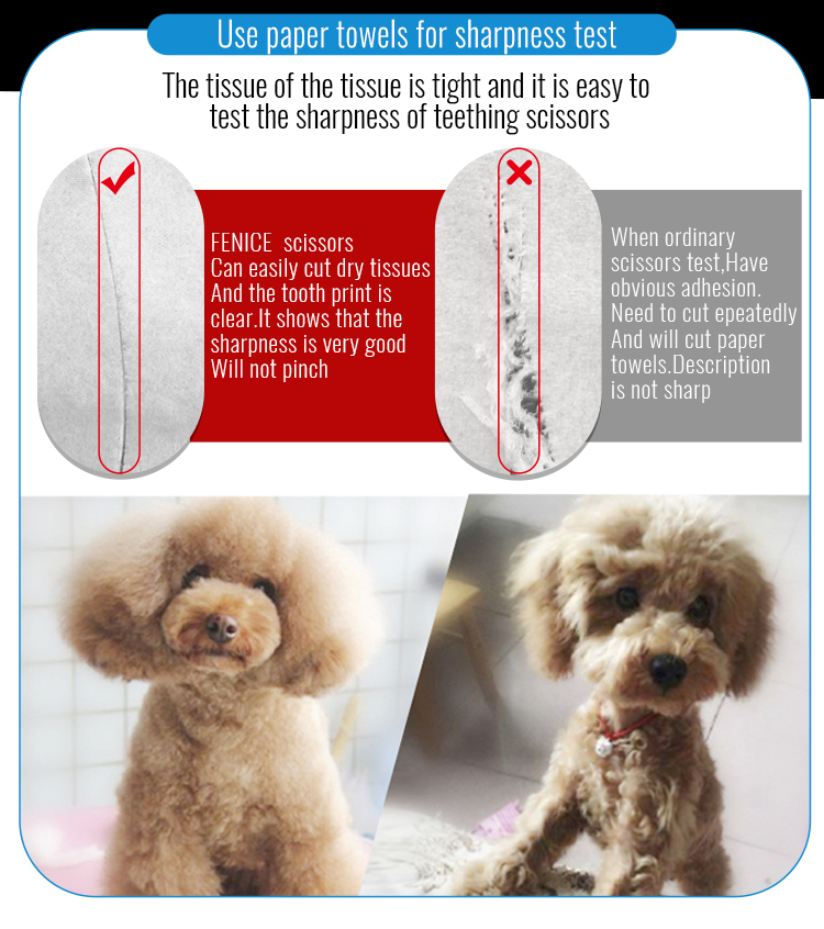 Fenice Tijeras - Valor para profesionales