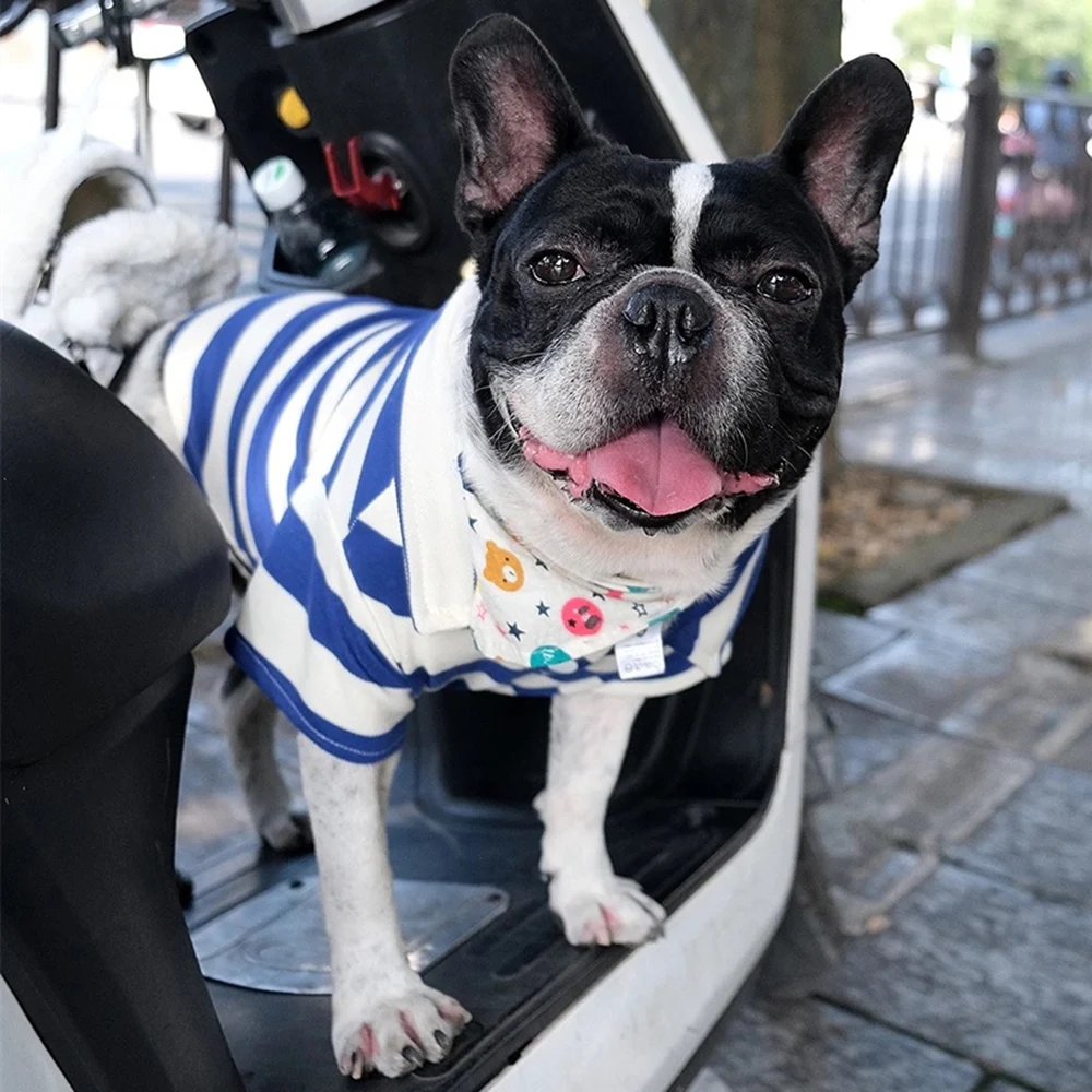 Camiseta clásica a rayas para perro, ropa de cuello alto para perros pequeños, gatos, Bulldog Francés, Schnauzer, Pug, cachorro - imagen 5
