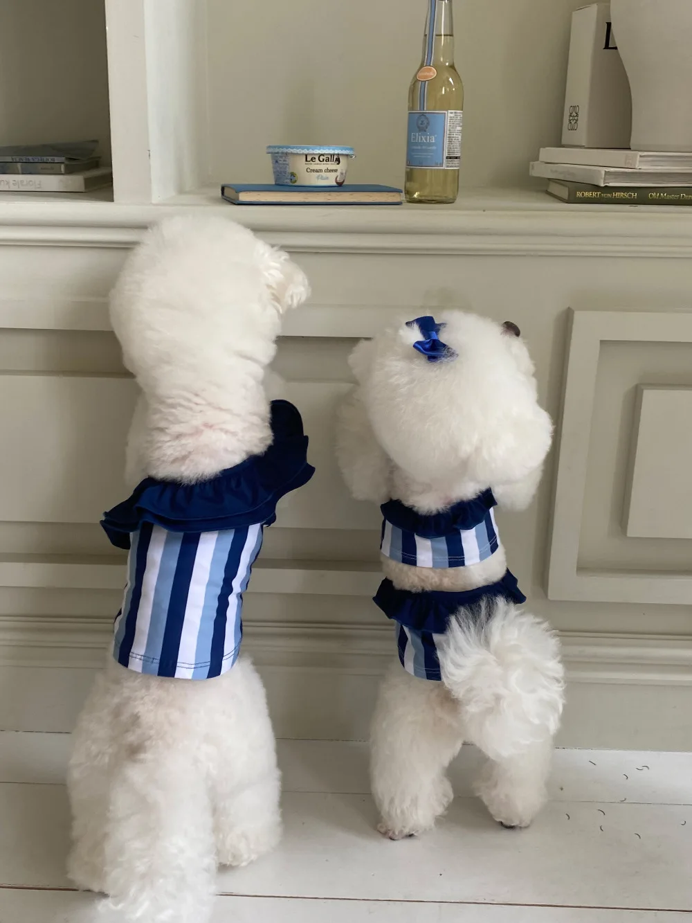 0628ac6378537f6bb6f0e241eabe09