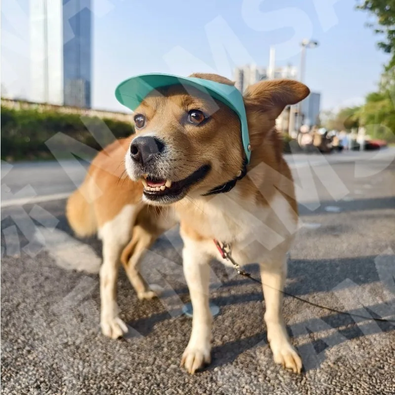 Sombrero de sol de plástico para mascotas, visera de protección solar con orejas expuestas para perros pequeños al aire libre, productos de decoración para senderismo, accesorios, gorras - imagen 2