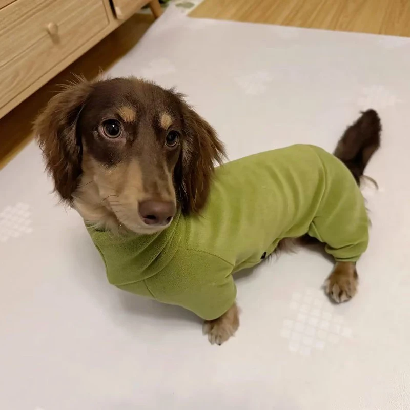 Ropa de otoño e invierno para perros Wiener, sudadera verde de lana para perros pequeños medianos de perro salchicha, abrigo cálido de 4 patas para perros salchicha