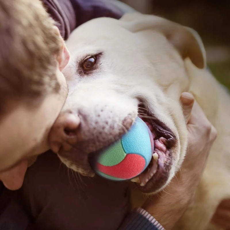Juguetes de pelota elástica TPR para perros, suministros interactivos para mascotas, juguete de molienda de dientes resistente al masticable para interiores, productos de entrenamiento para lanzar cachorros