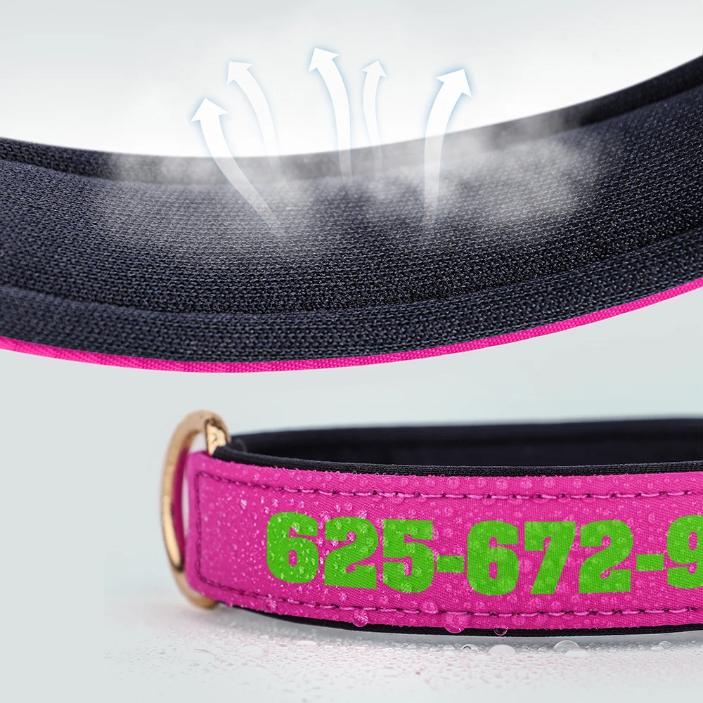 Collar de cuero acolchado suave personalizado para Perro, estampado gratis, nombre, hueso, mascotas, perros medianos y grandes - imagen 4