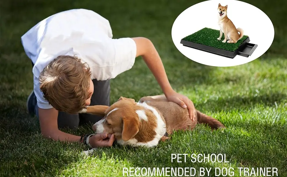 Dog Urinal containing 2 Replaceable lawns