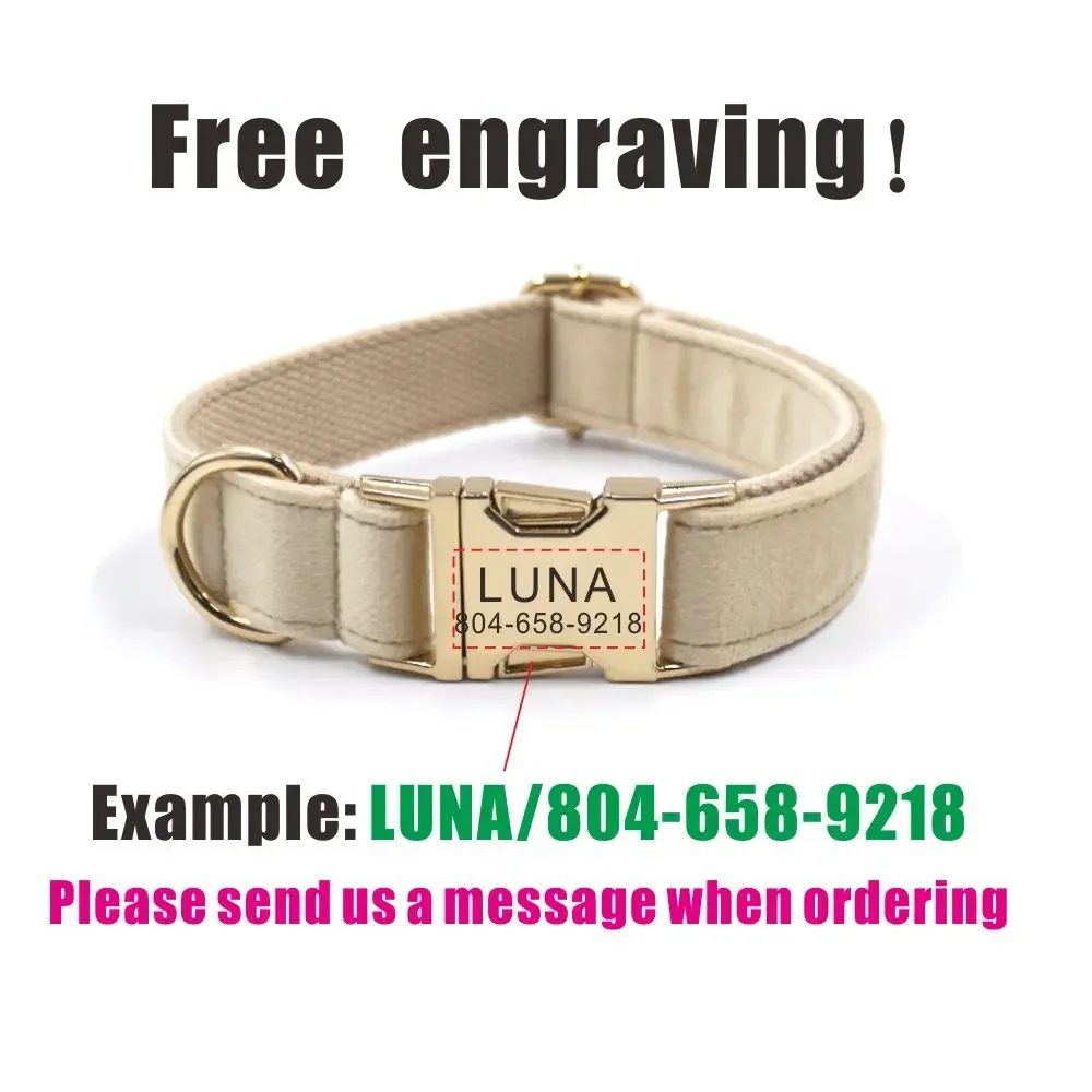 Collar personalizado para perro, correa de fibra de terciopelo Beige, grabado gratis, etiqueta de nombre de identificación, accesorio para mascotas - imagen 4