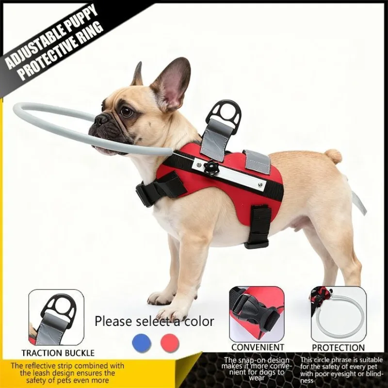 Arnés con aro guía para perros ciegos – Paseos seguros