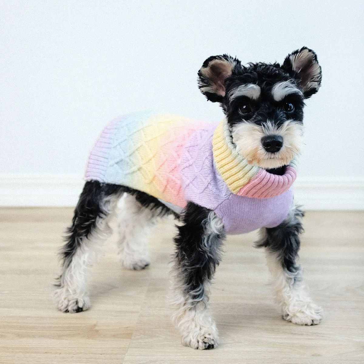 Ropa de invierno para perro, suéteres cálidos de arcoíris degradado para perro pequeño, gato, cuello alto, abrigo de punto trenzado a prueba de viento para cachorro - imagen 4