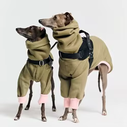 Mono forro polar 2 patas verde invierno para Galgo Italiano y Whippet