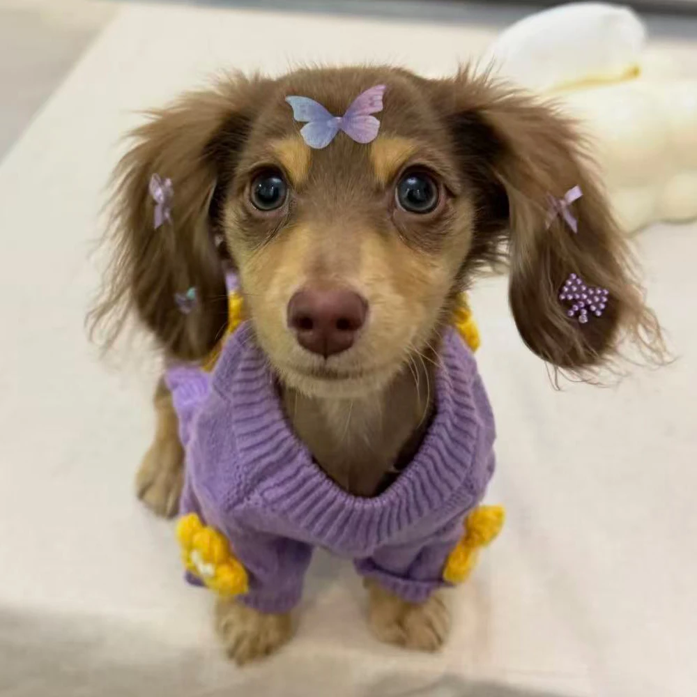 Suéter floral de punto para perro salchicha – Cálido y cómodo - imagen 3