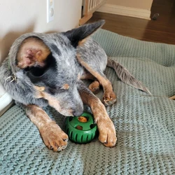 Suministros para mascotas, juguetes con fugas, silicona para perros, resistente a mordeduras, comida lenta, pelota para lamer, juguetes para perros