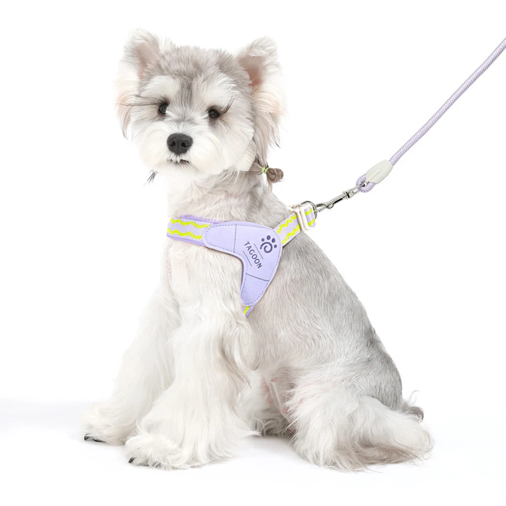 Arnés de malla para perro pequeño Schnauzer y Shiba Inu - imagen 4