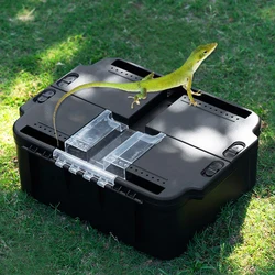 Transportín para reptiles – Jaula para Gecko, tarántula y hámster