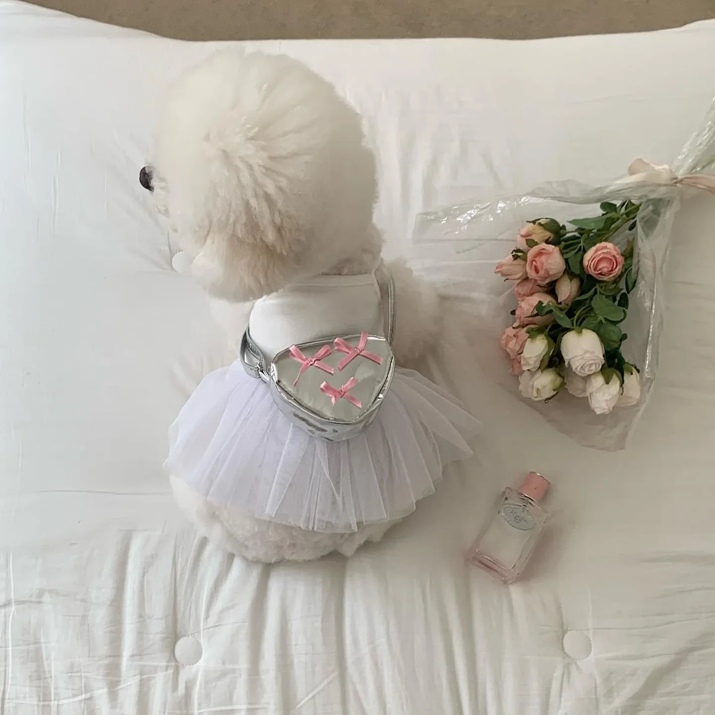 Mochila triangular INS para perro, bolsa de transporte con lazo plateado, bandolera pequeña para perro, gato, bolsas de transporte para caca de perro - imagen 3