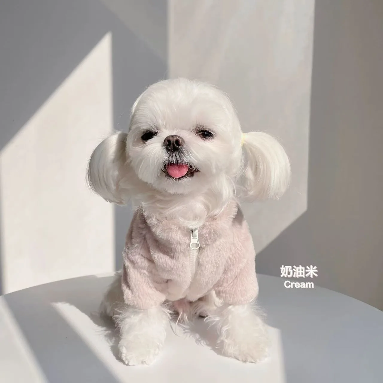 Abrigo grueso y cálido para perro, chaqueta de lana suave para mascotas para perros pequeños y medianos, traje maltés bonito a la moda para clima frío, Otoño e Invierno - imagen 3