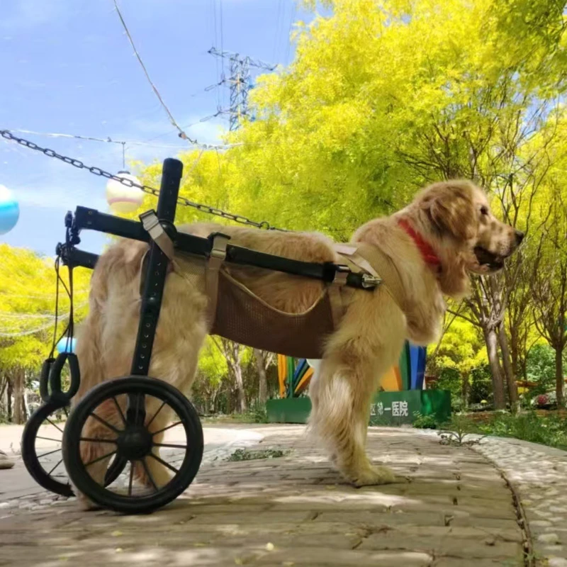 Silla de ruedas para perros medianos y grandes - Carrito de movilidad - imagen 3