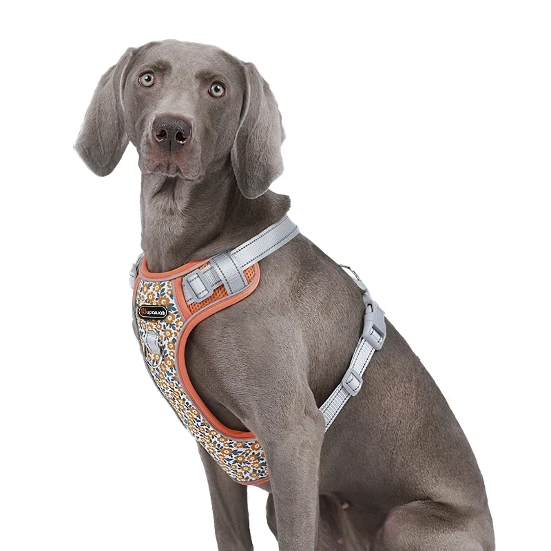Correas de pecho para perros, suministros para mascotas, chaleco reflectante con estampado de margaritas, Estilo Chaleco - imagen 3