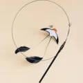 swallow