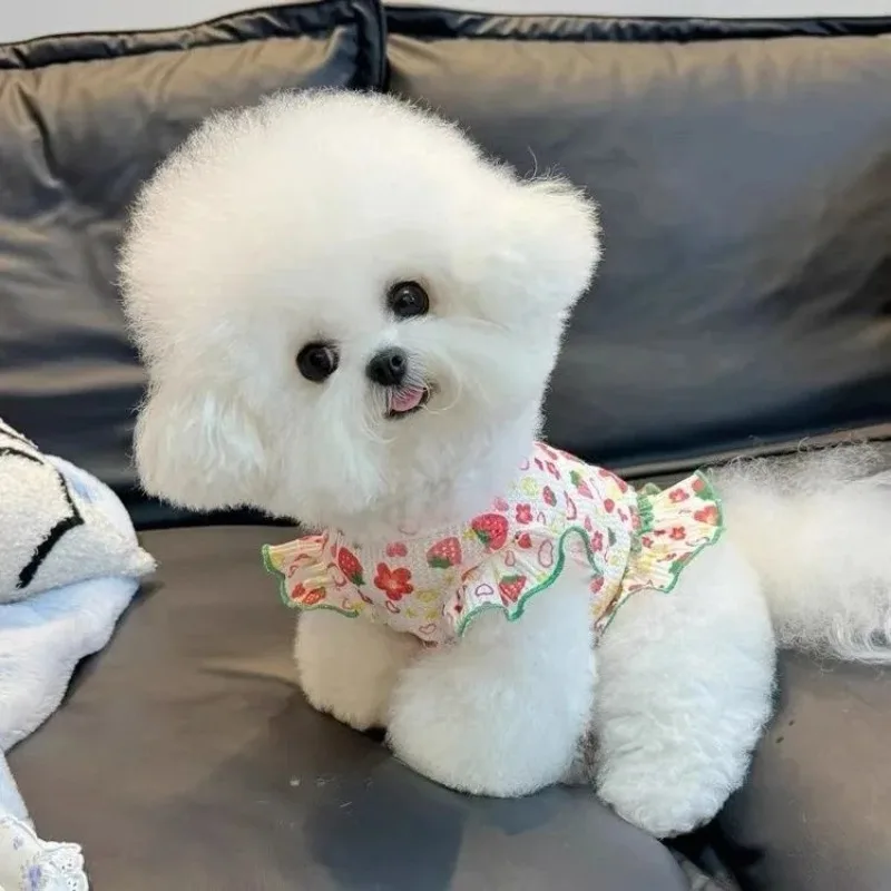 Perro Primavera/Verano fino gofre fresa falda de manga voladora mascota gato oso de peluche Schnauzer camiseta sin mangas fina ropa para cachorros - imagen 2