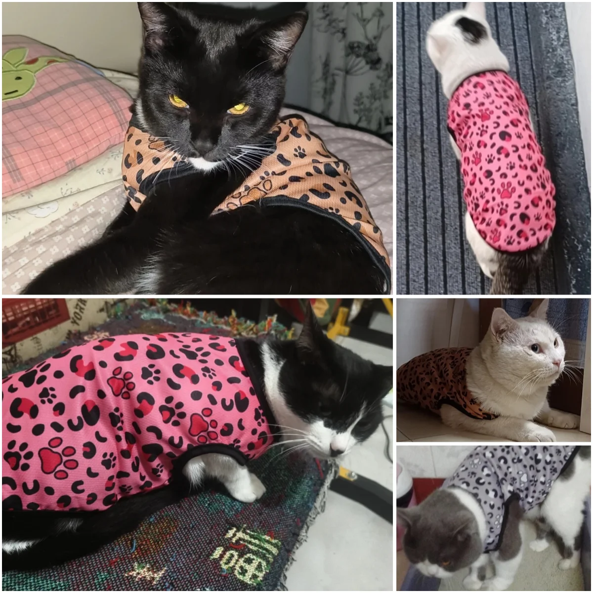 Chaleco con estampado leopardo para gatos - cómodo y transpirable - imagen 5