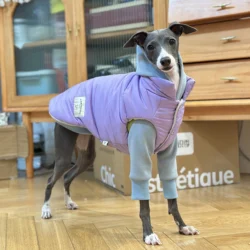 Chaqueta Iggy de moda con cremallera, ropa cálida para perros galgo para Whippet, chaqueta morada a prueba de viento para Terrier sin aire en invierno