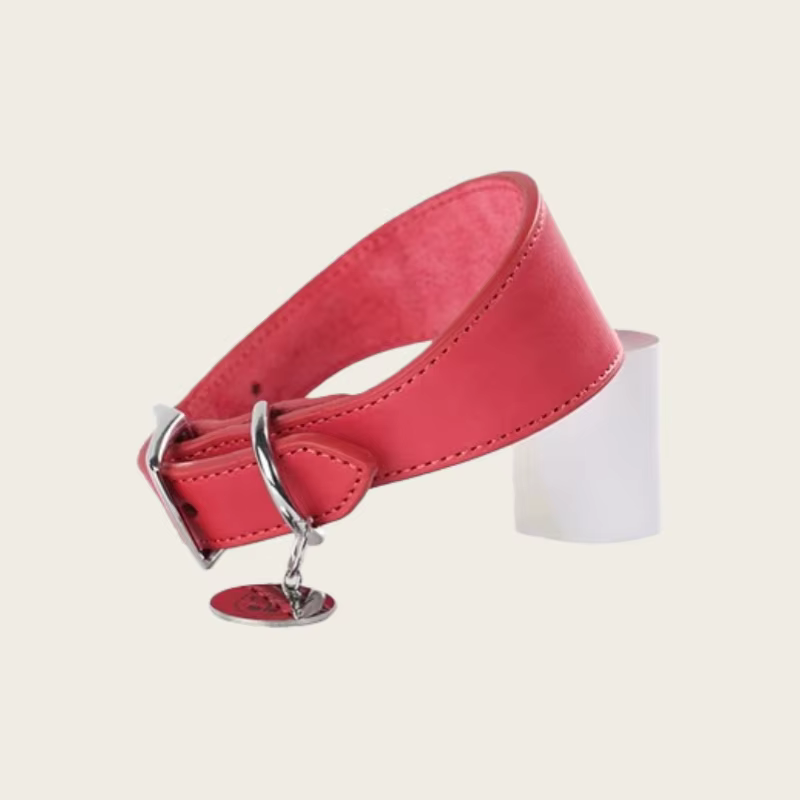 Collar ancho cónico para perros de cuello largo – Greyhound, Dachshund - imagen 3