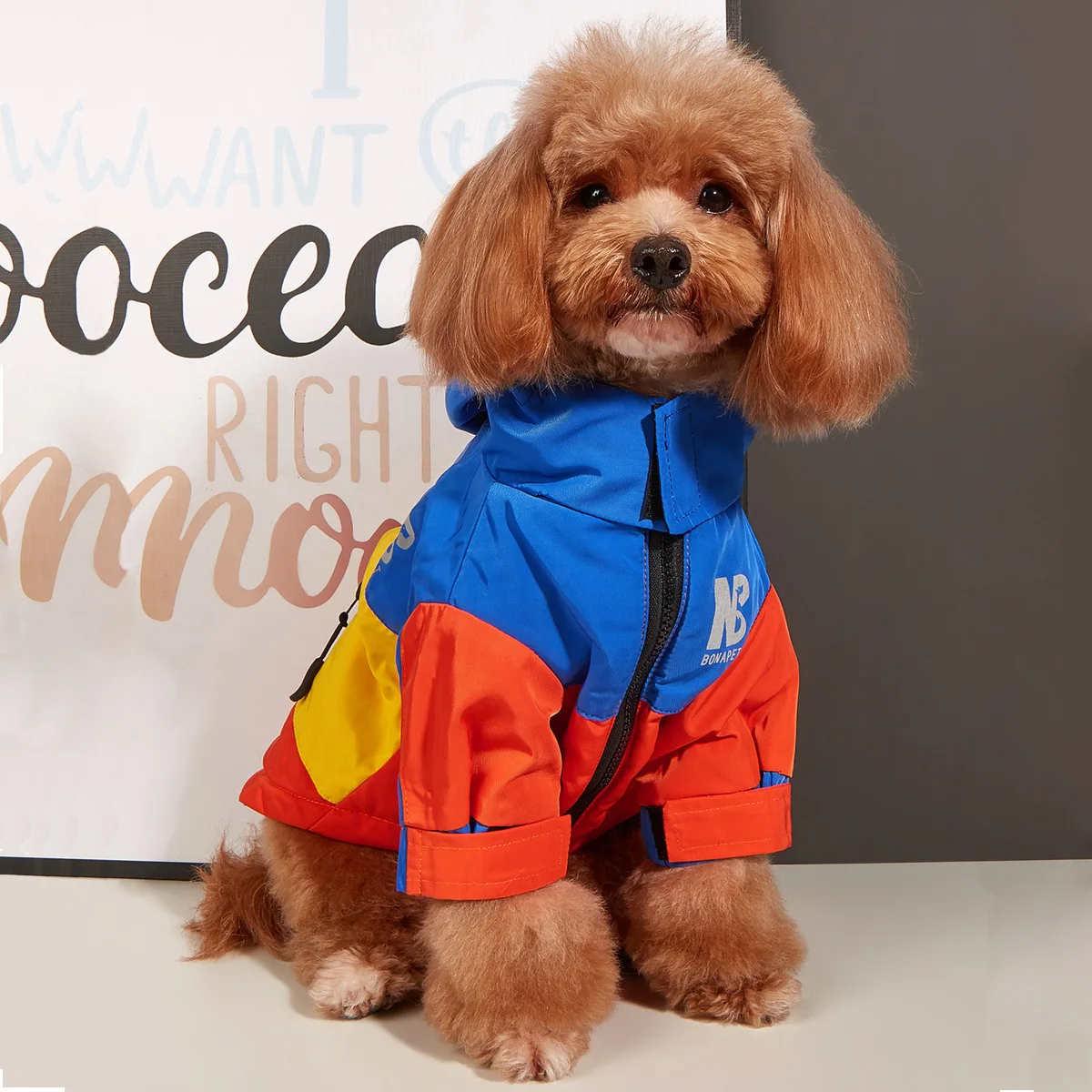 Chaqueta de forro polar grueso para perro, abrigo de lluvia impermeable, sudadera a prueba de viento, ropa de invierno - imagen 2