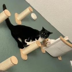Cuerda trepar gatos pared con escalones madera maciza y sisal