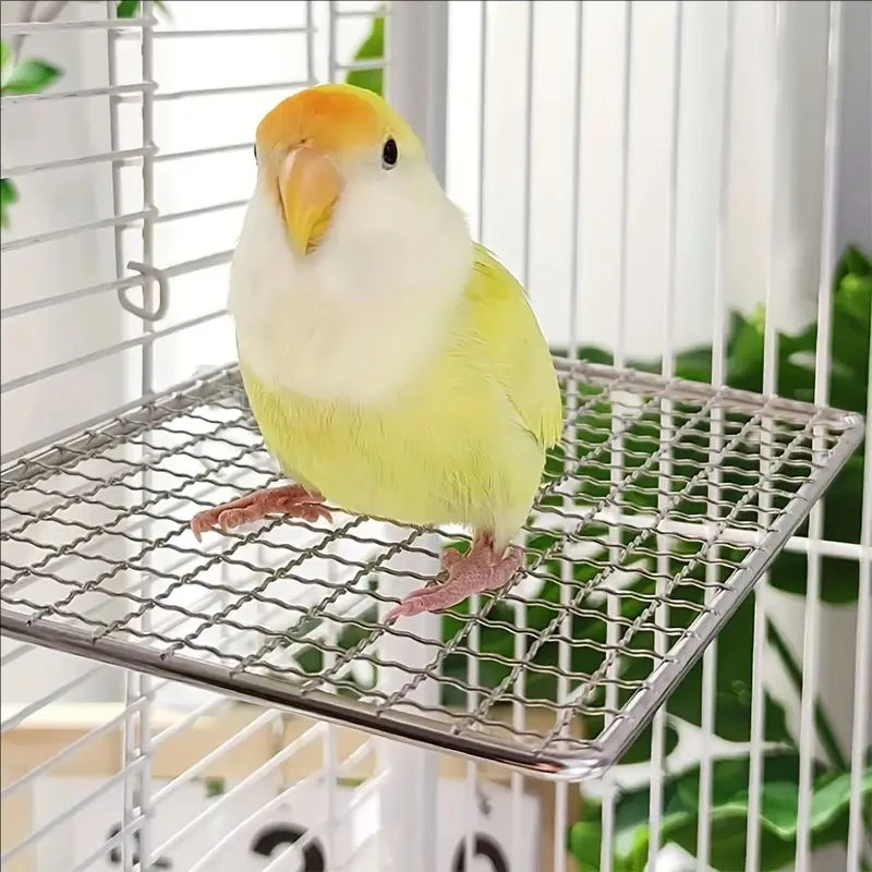 Percha versátil de acero inoxidable para loros, juguete duradero y lavable, plataforma de soporte de descanso para pájaros y mascotas, suministros de jaulas para loros, 1 ud. - imagen 2
