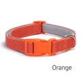 orange collar