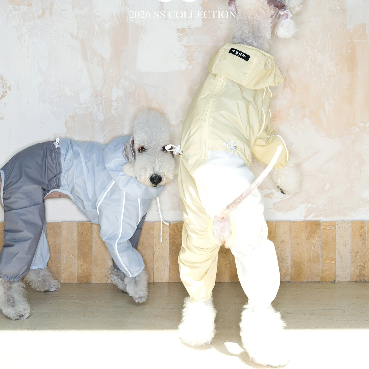 Chaqueta impermeable ultraligera UPF50+ para perro galgo italiano - imagen 4