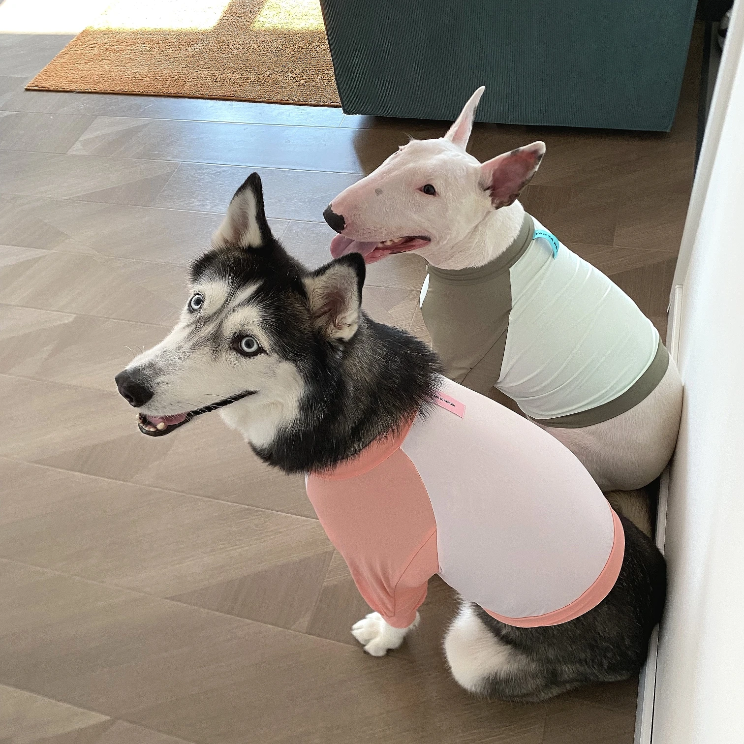 Mono Protector de codo para perro grande, ropa fresca para perro a prueba de sol para primavera y verano, para Schnauzer Corgi Husky Labrador Golden Retriever - imagen 3