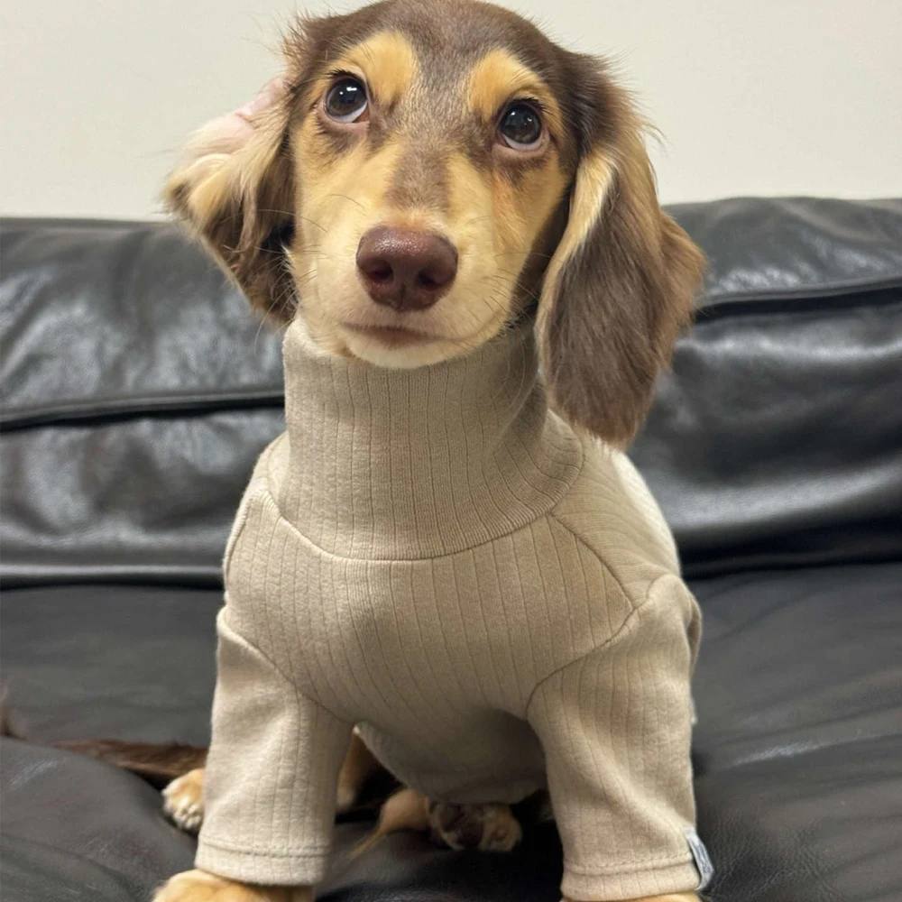 Abrigo suave manga larga para perros pequeños y medianos Dachshund - imagen 5
