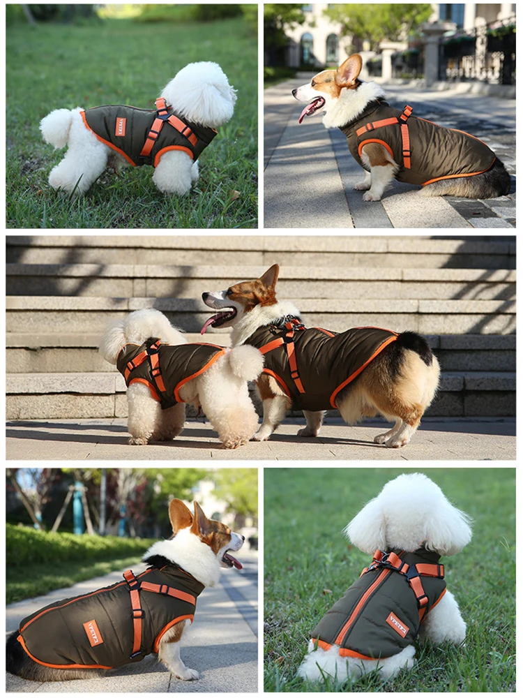 Chaqueta impermeable para cachorros, ropa para mascotas para perros pequeños con arnés, chaleco cálido de invierno para Chihuahua, abrigo Yorkie, disfraz de Bulldog Francés - imagen 2