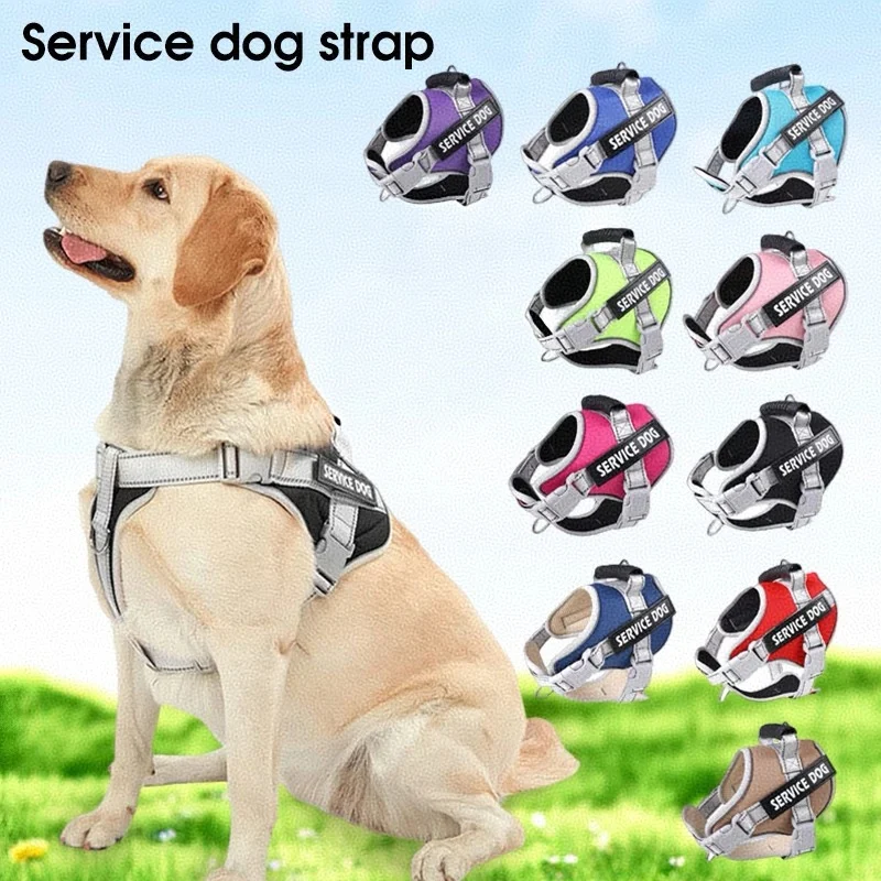 Arnés para cachorros, accesorios para perros, suministros para perros, collares, correas, correa para perros grandes, Collar para mascotas, cosas para mascotas pequeñas