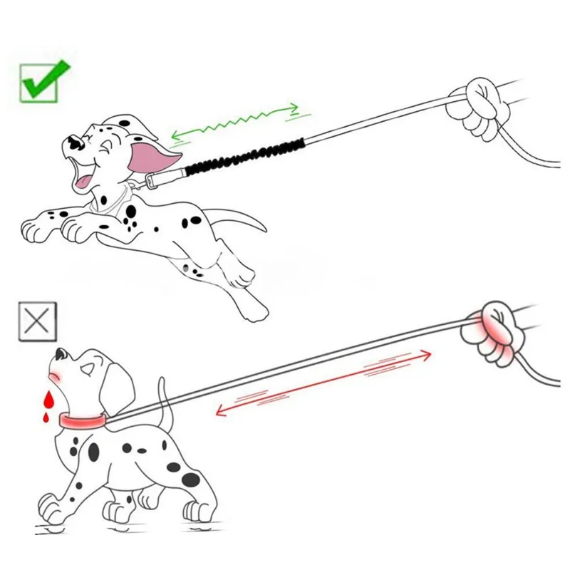 Correa para perro, correas extensibles, cuerda elástica para perros, correas de extensión de 45cm para caminar, cuerdas de cadena de seguridad para mascotas, accesorios para mascotas - imagen 3