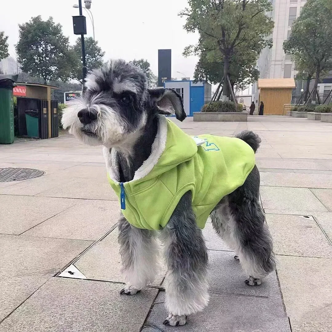 Ropa con capucha para cachorros y perros, Otoño e Invierno, Schnauzer, cachorros, Pomerania, Perro PEQUEÑO, Gato, Sudadera con capucha cálida para otoño e invierno - imagen 2