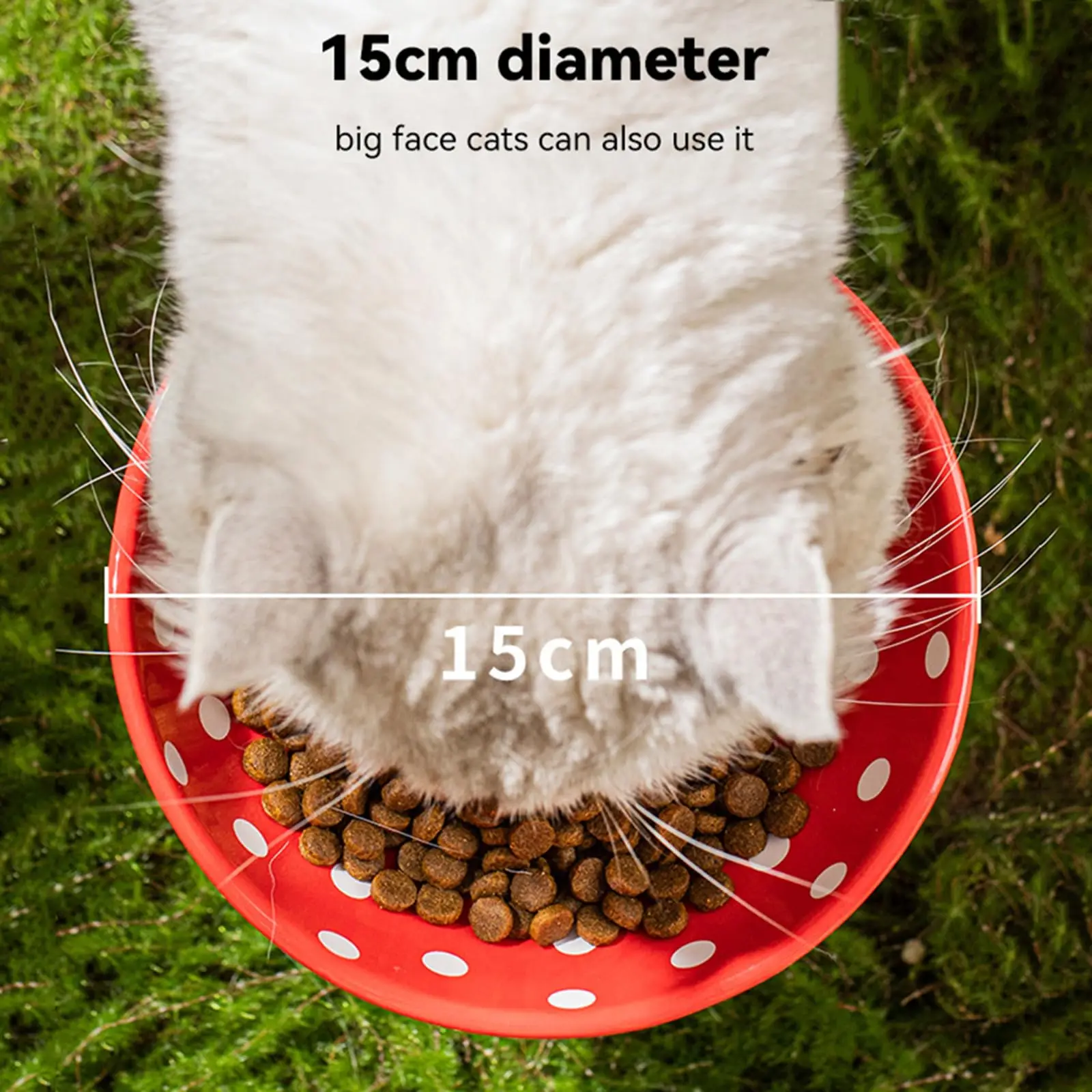 Cuenco para gatos con forma de seta de 6 pulgadas, estante elevado de cerámica, cuenco para comida para gatos elevado y amigable con la barba para comida y agua para plato plano inclinado para gatos - imagen 4