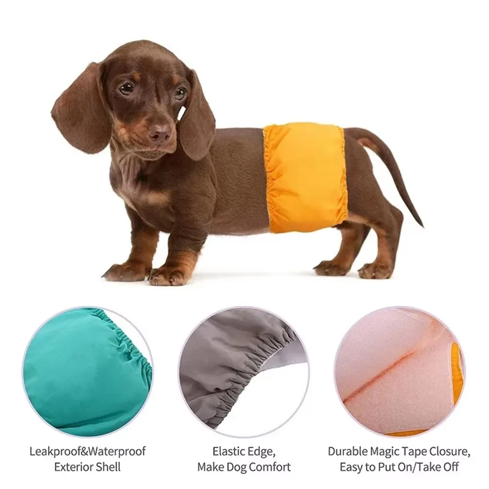 Pantalones fisiológicos lavables para cachorros y mascotas, ropa interior sanitaria, banda para el vientre para perros, bragas reutilizables para perros, pantalones cortos - imagen 4