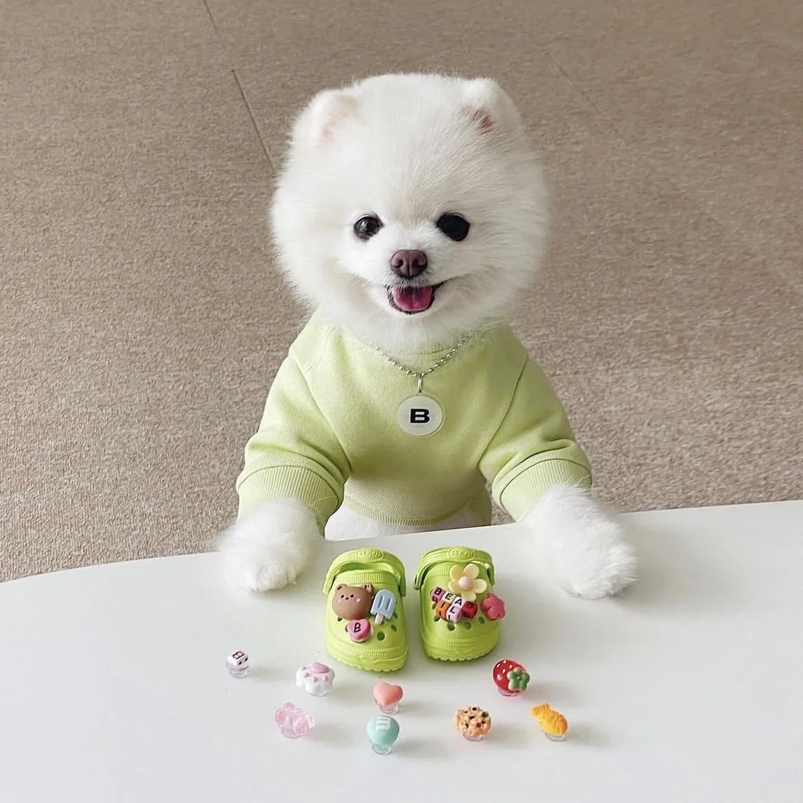 INS zapatos para mascotas, zapatillas de playa con agujeros, duraderas y transpirables, para exteriores, botas decorativas para perros pequeños - imagen 4