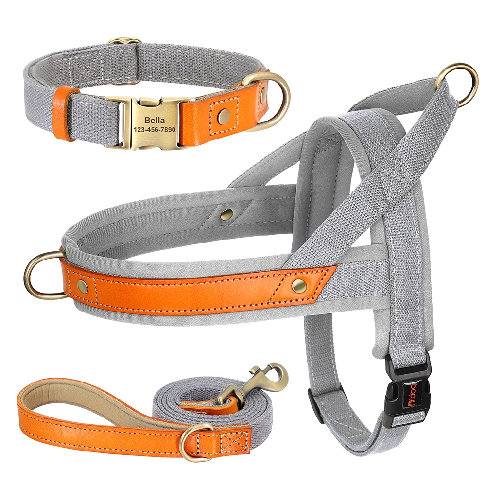 Gray Collar Harness