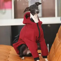 Sudadera con capucha y cremallera para perro Whippet - Abrigo cómodo
