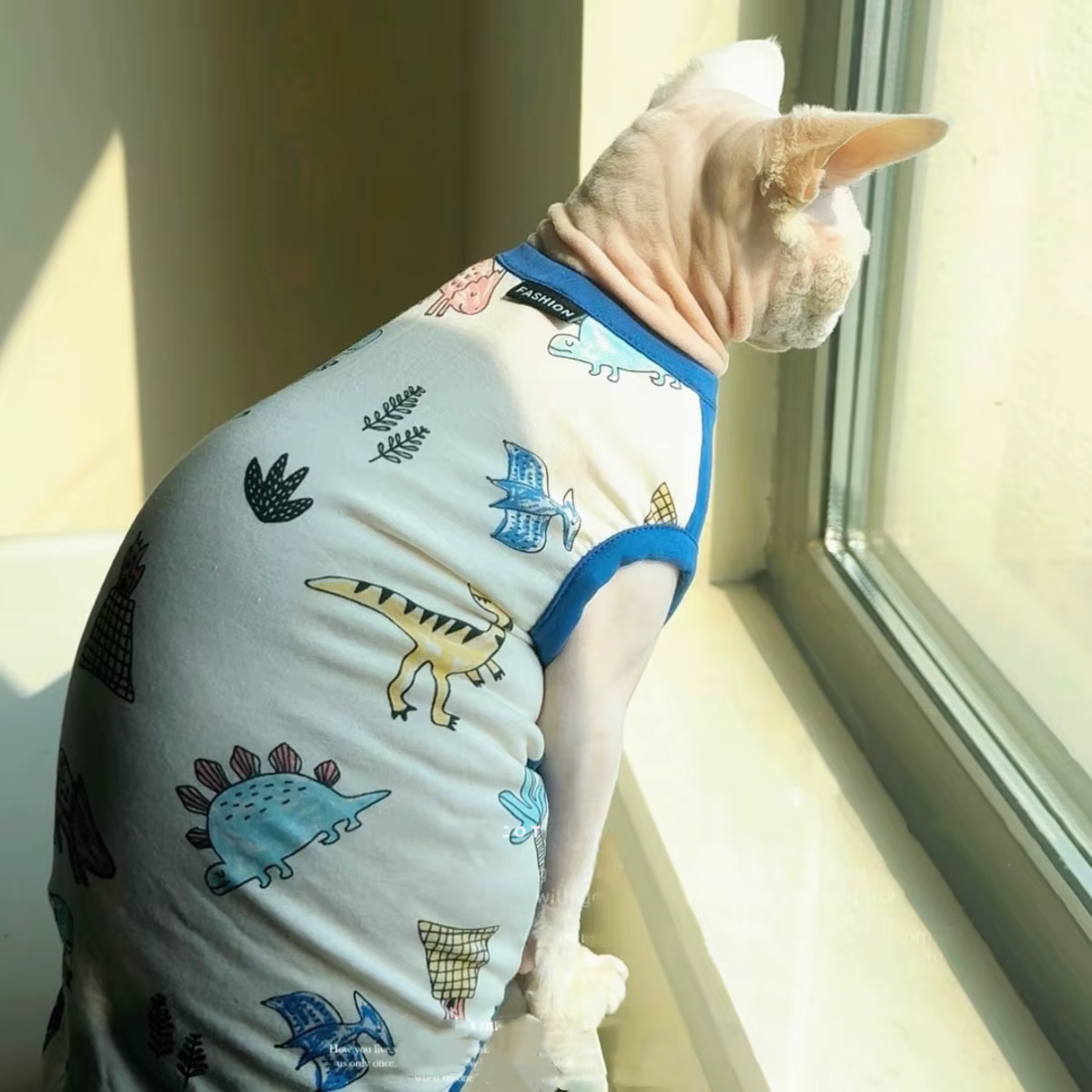 Camiseta de manga corta para gatos Sphynx y Devon Rex – Verano - imagen 2