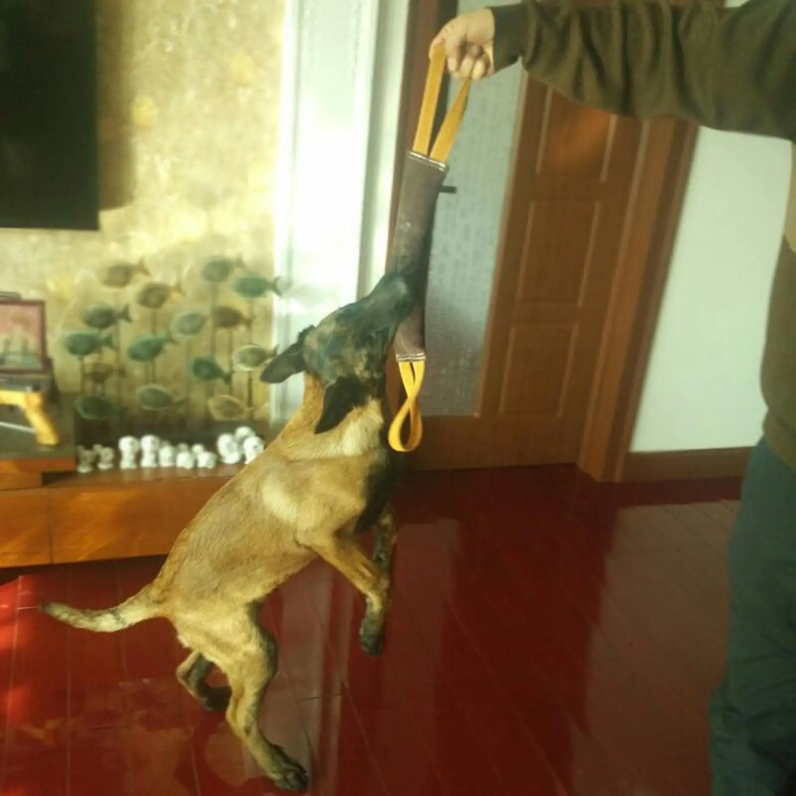 Dog Tug Bite Leather Chewing Toy Puppy Training Interactive Play Toys