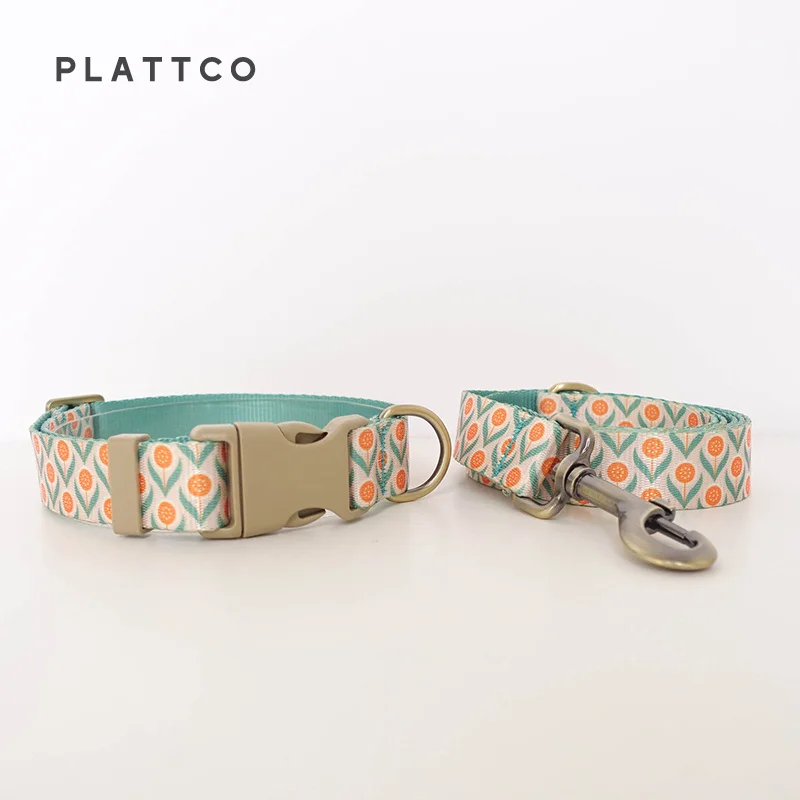 Dog Collar Leash Set