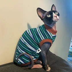 Camiseta algodón elástica a rayas para gatos sin pelo - Primavera
