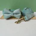 Bow Collar Leash Set