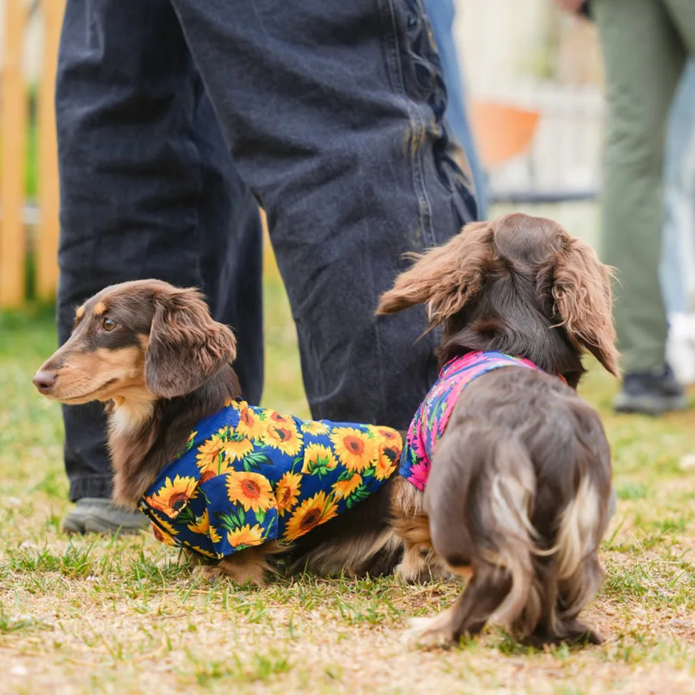 Camiseta de algodón sin mangas estampado floral para perro salchicha - imagen 4