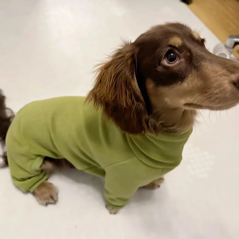 Ropa de otoño e invierno para perros Wiener, sudadera verde de lana para perros pequeños medianos de perro salchicha, abrigo cálido de 4 patas para perros salchicha - imagen 3