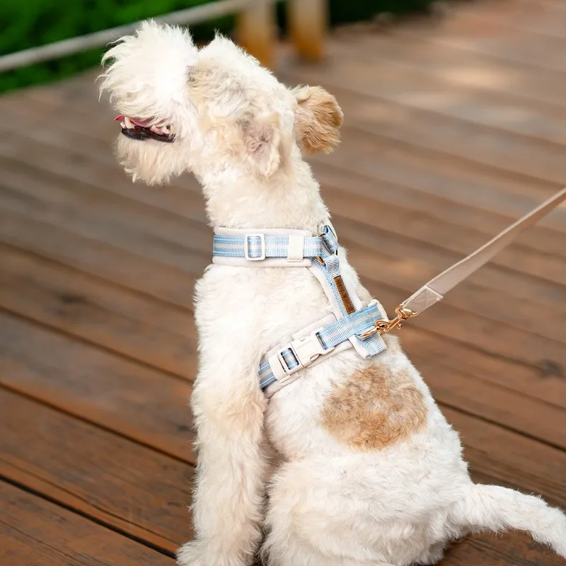 Arnés ajustable para perros en forma de Y, correas reflectantes suaves y transpirables para el pecho, Collar cómodo, resistente y duradero - imagen 4