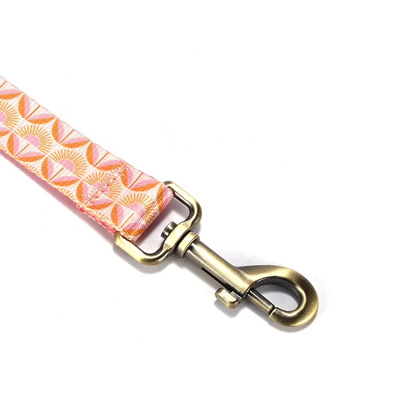 Correa de nailon para perro, correa de nailon para perro, correa de plomo para cachorros, perros medianos y grandes, protección de seguridad, correa de flores para el amanecer PDL350 - imagen 4